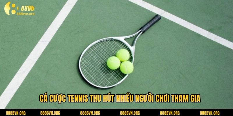 Cá cược tennis thu hút nhiều người chơi tham gia