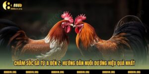 Chăm Sóc Gà Từ A Đến Z: Hướng Dẫn Nuôi Dưỡng Hiệu Quả Nhất