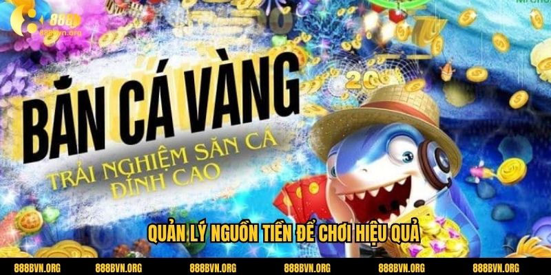 Quản lý nguồn tiền để chơi hiệu quả